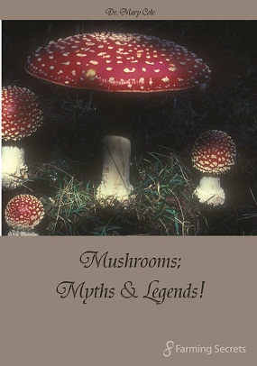 Mushrooms; Myths & Legends
