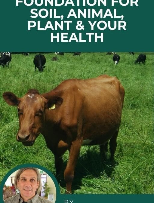 Foundation for Soil, Animal, Plant & Human Health